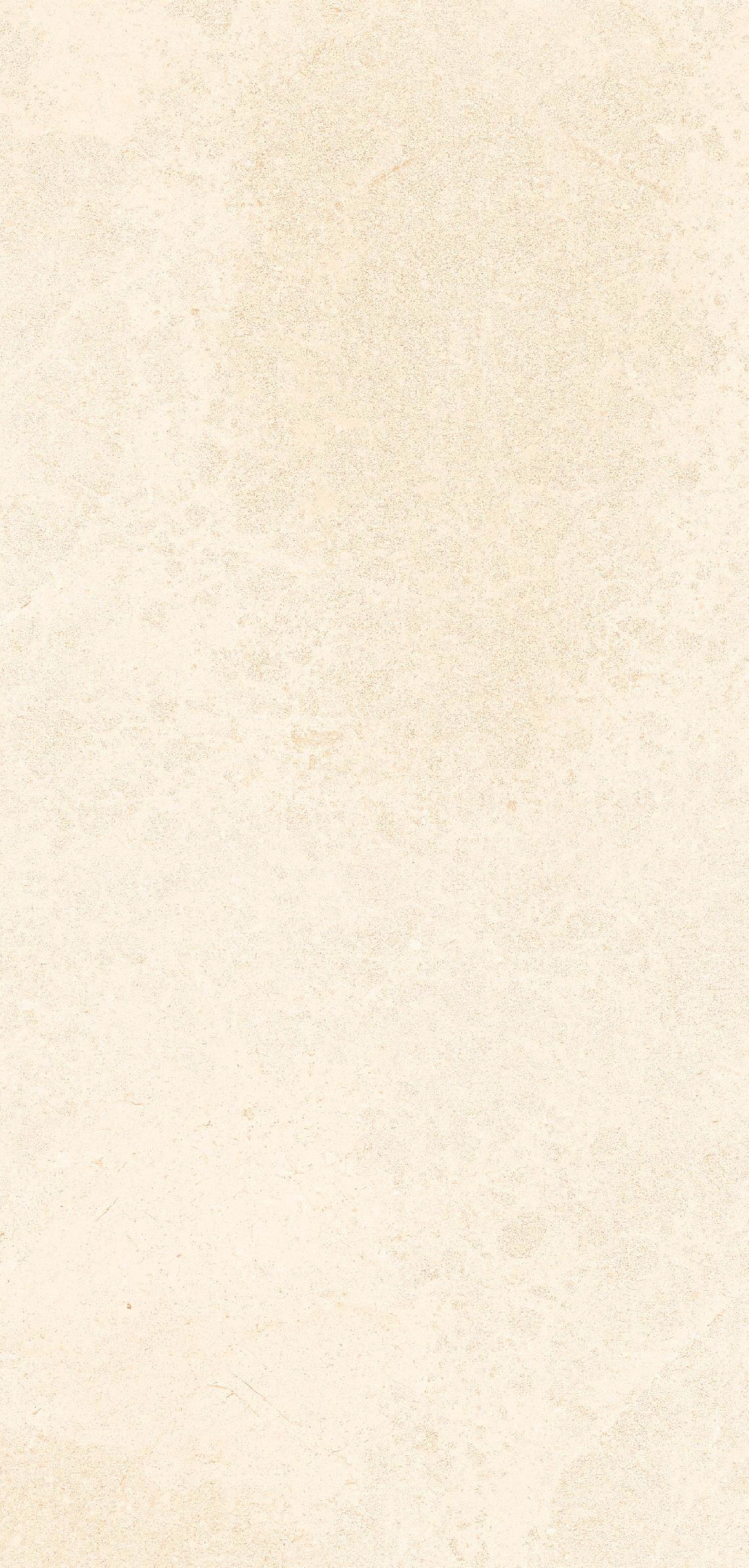 AS Norway Crema