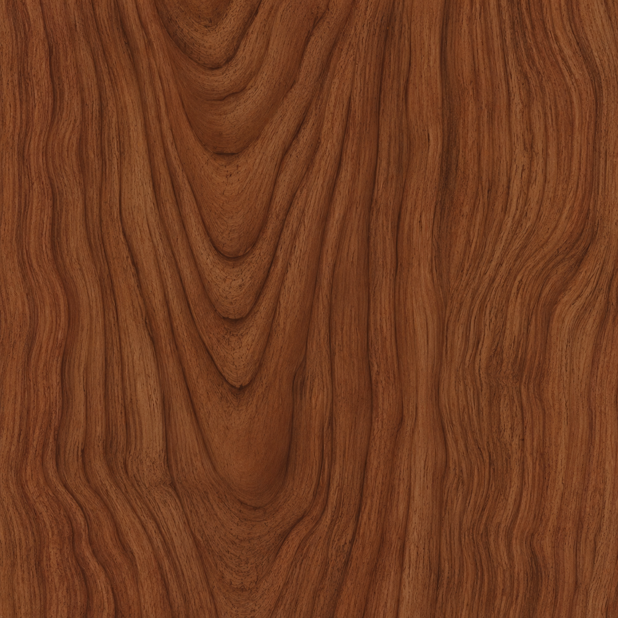 American Walnut