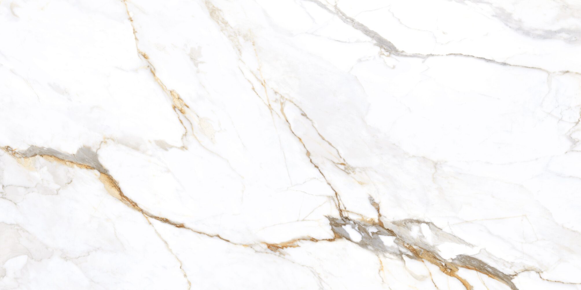 Apollo White