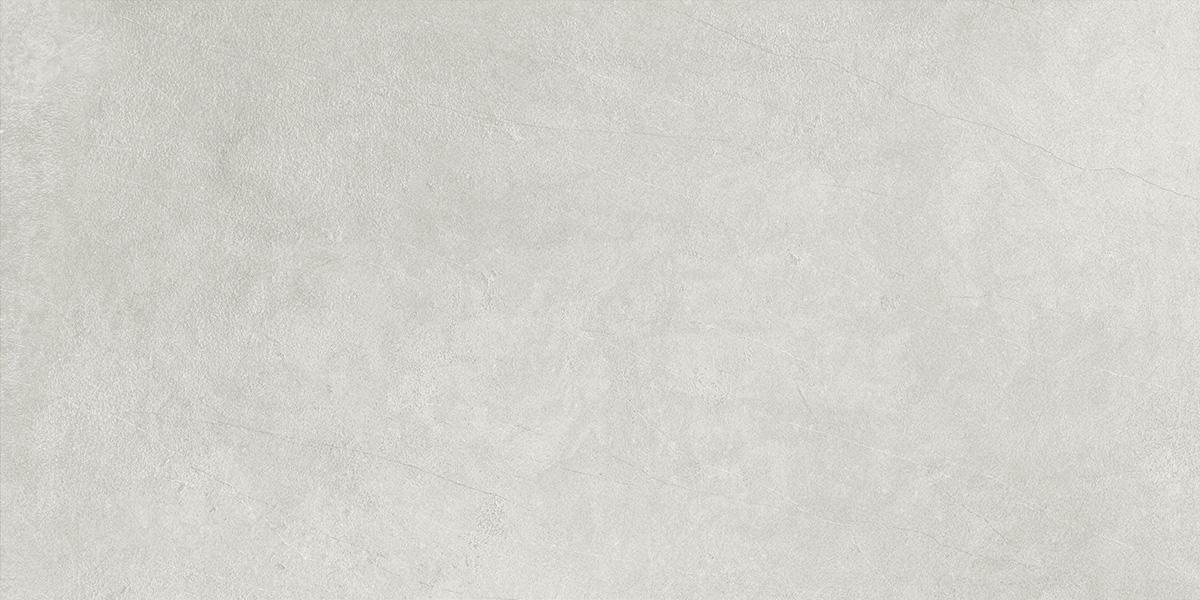 Aster Grigio