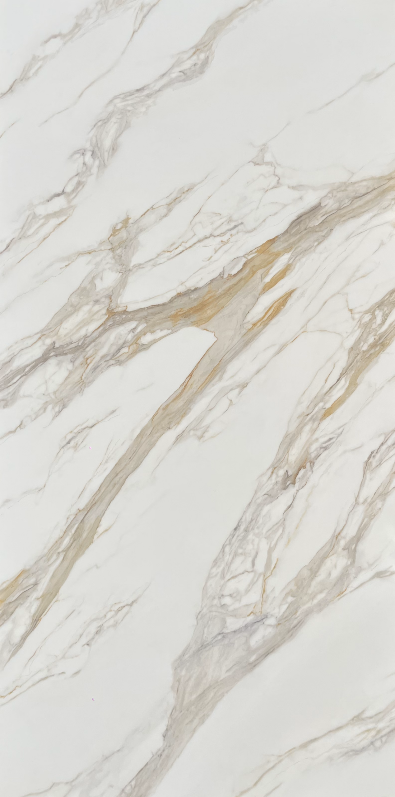Venato Oro