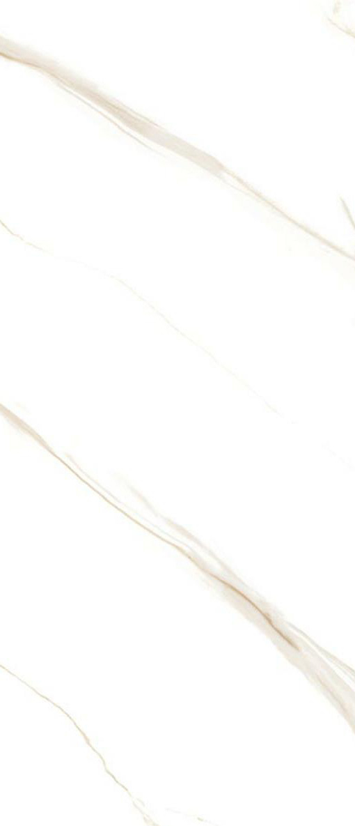 Calcutta Oro Linea