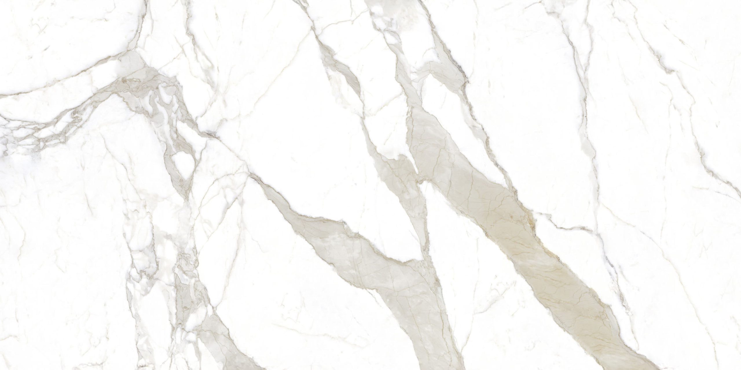 Calacatta Bianco