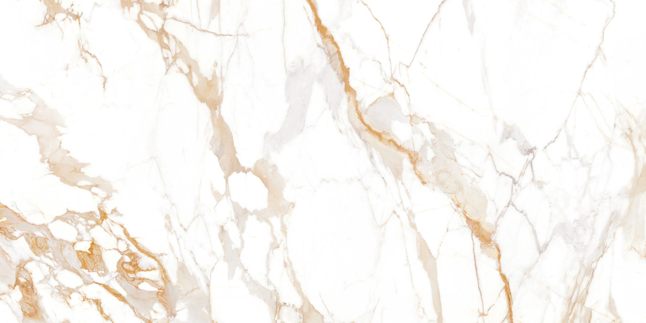 Calacatta Gold