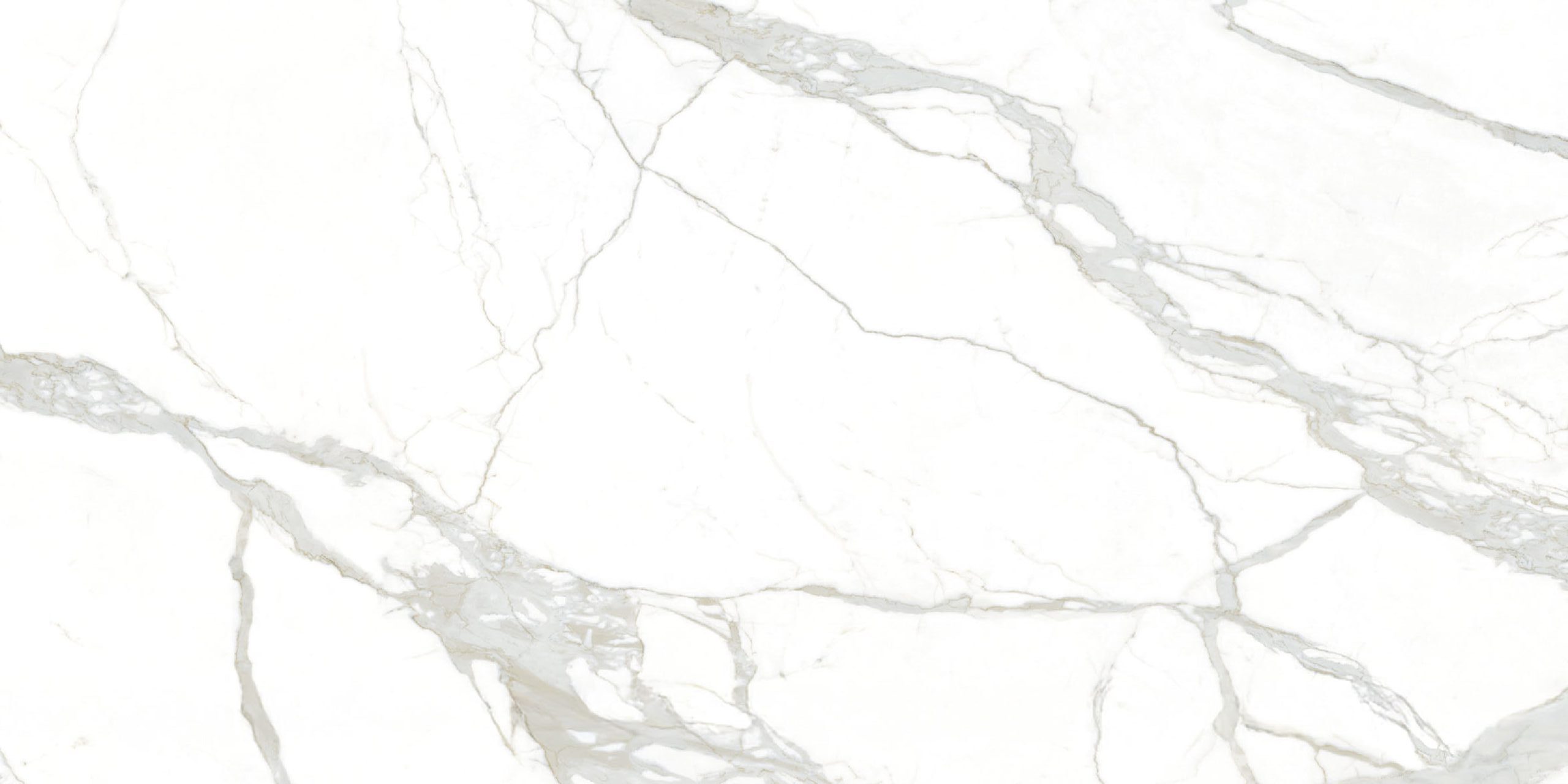 Calacatta White