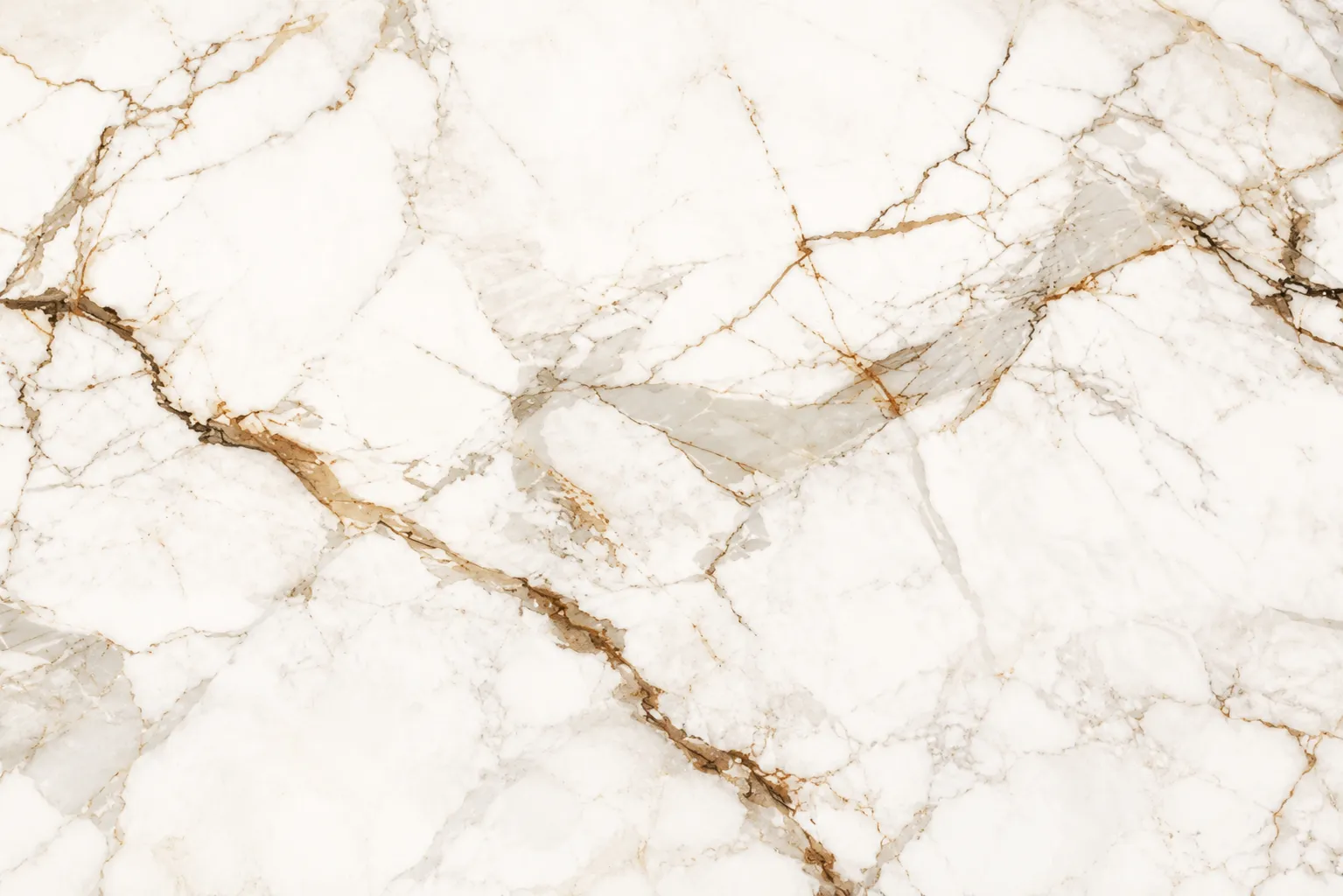 Golden Posa White Body Porcelain Slab