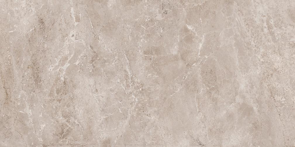 Picasso Grey