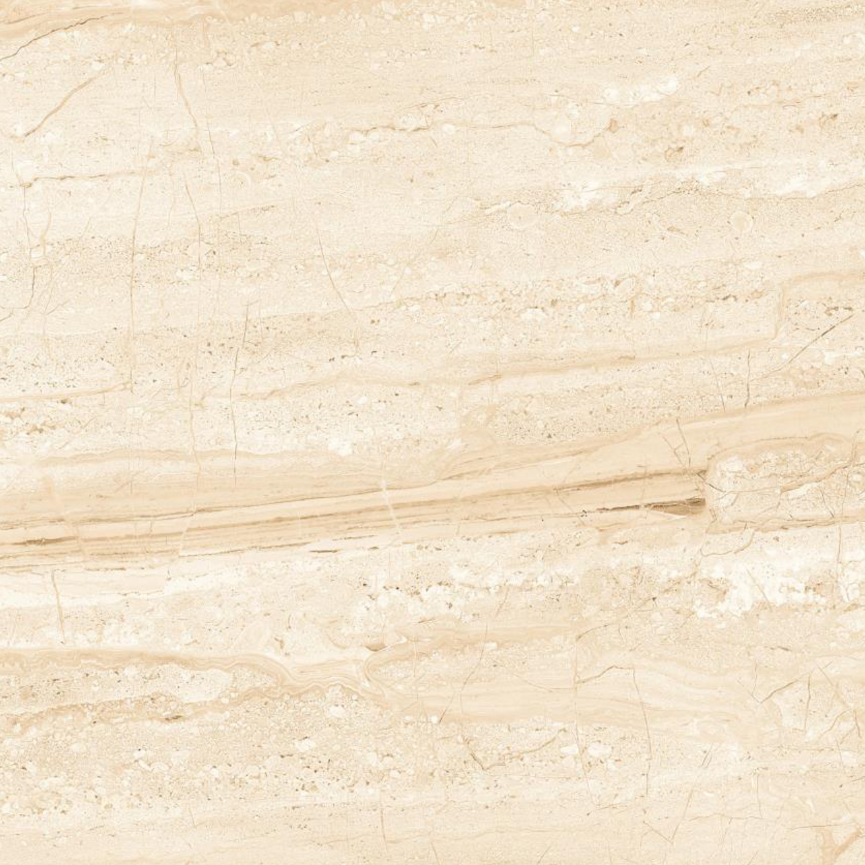 Regal Dyna Crema