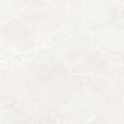 Signetic White