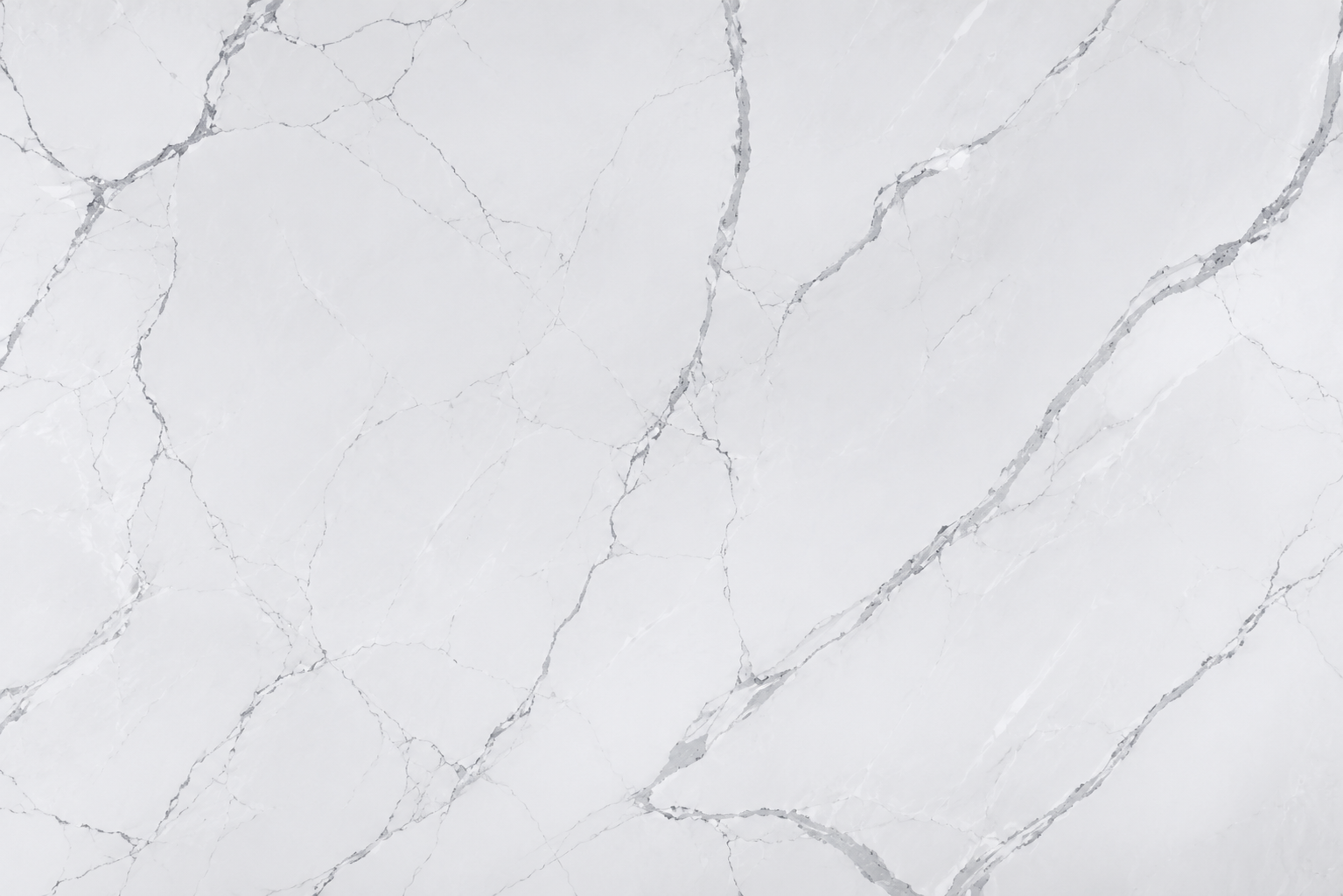 Suite Carrara