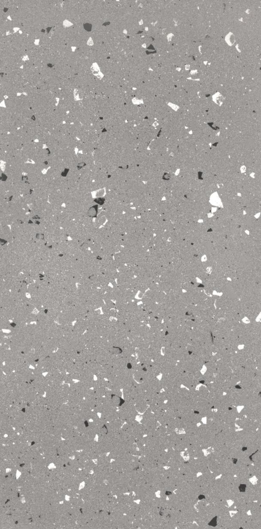 Terrazzo Fossil