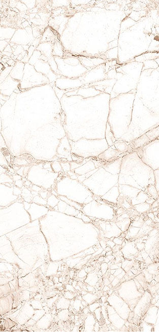 Versace Ivory