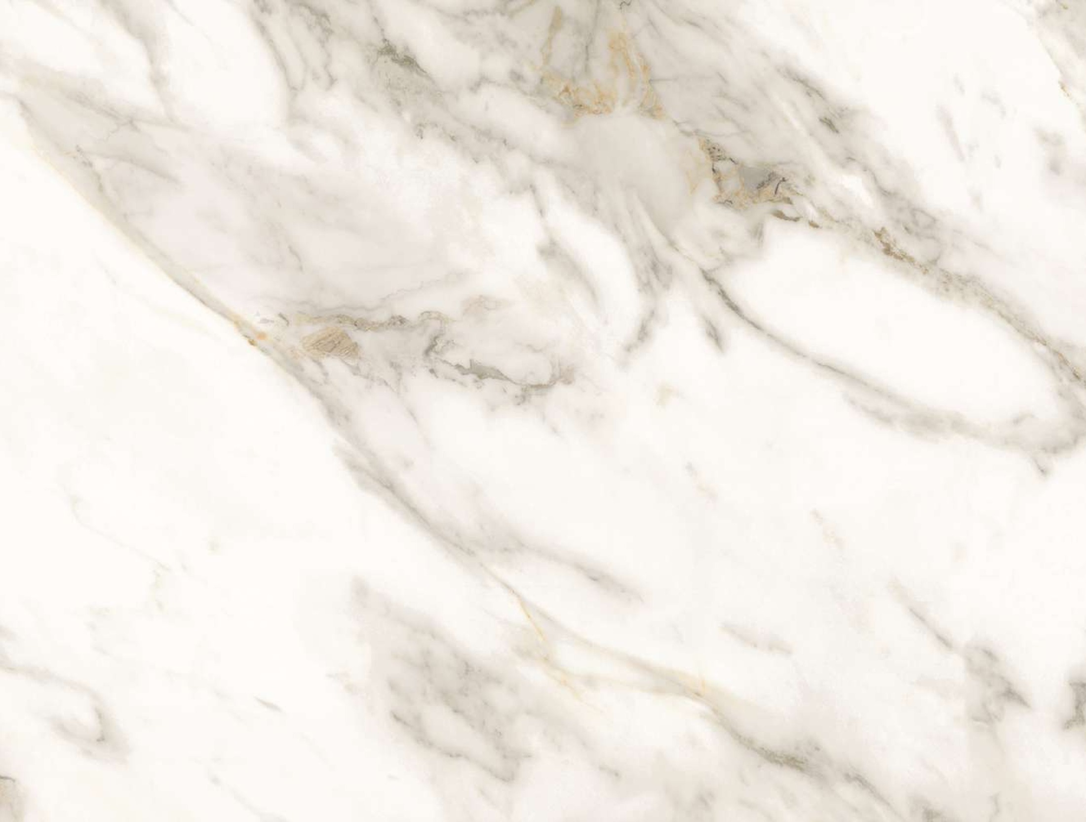 Alex Calacatta 15mm porcelain slab face