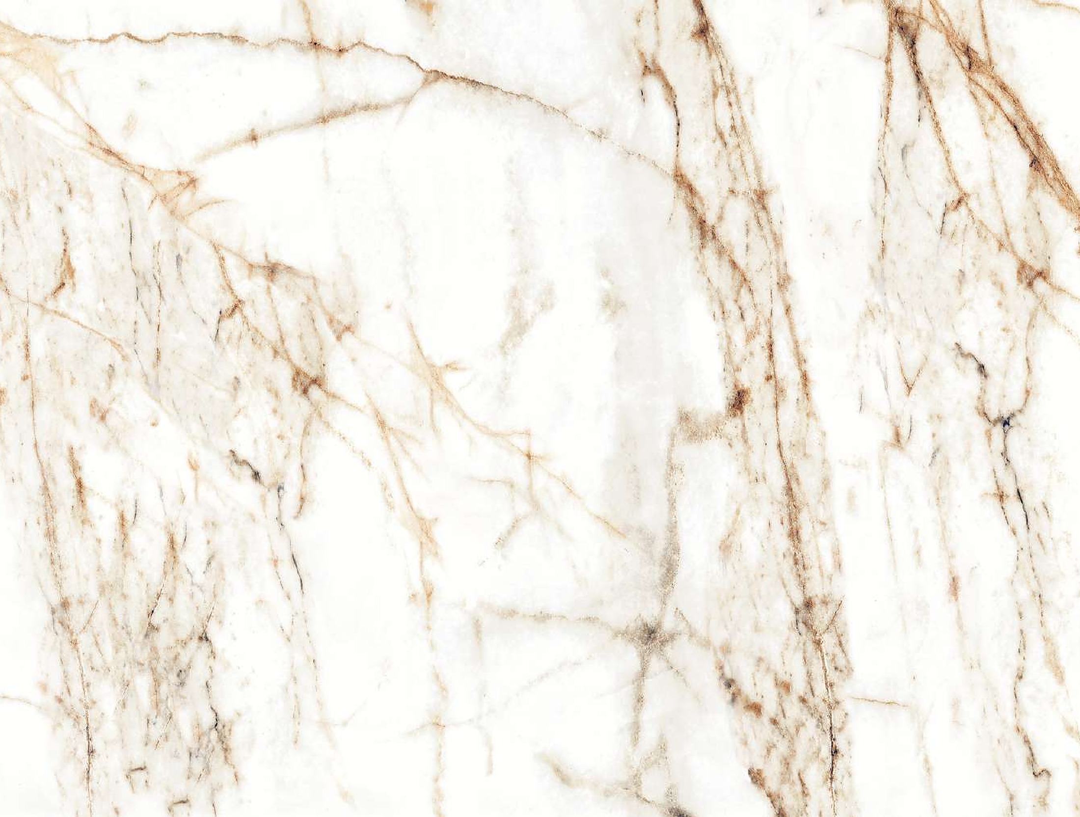 Figi Gold porcelain slab face in 15mm with fine gold veining on a white ground