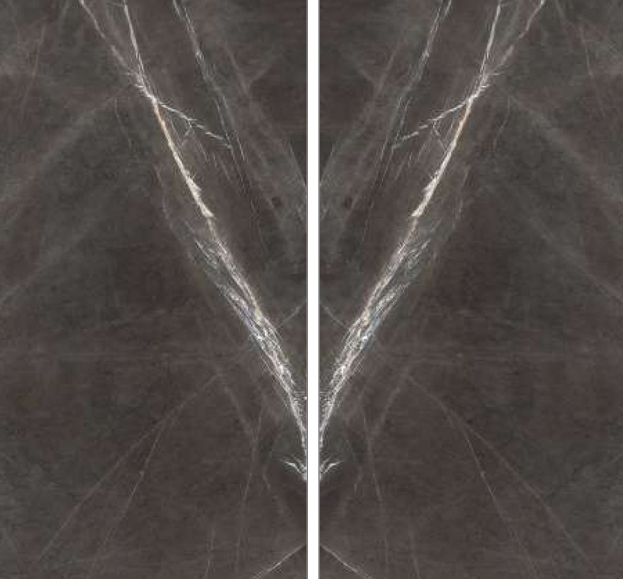 Marquina Grigio porcelain slab shown as a book-match pair, 120x240cm